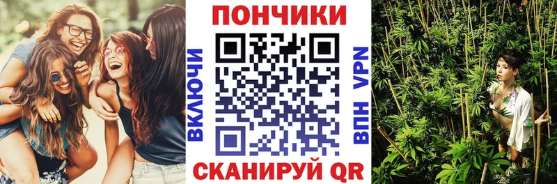 Бошки Шишки Бобров