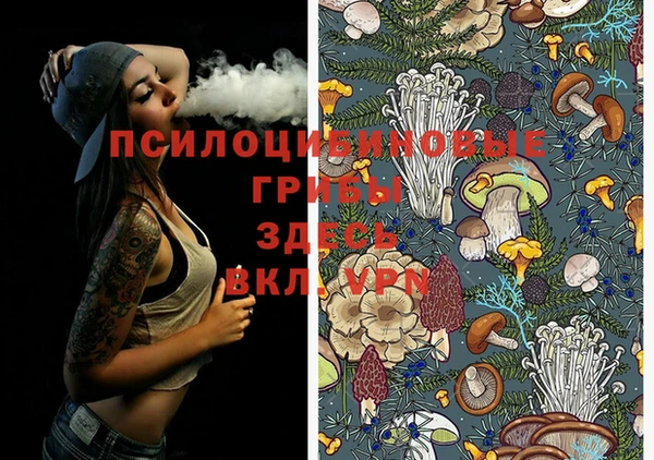 твердый Аркадак