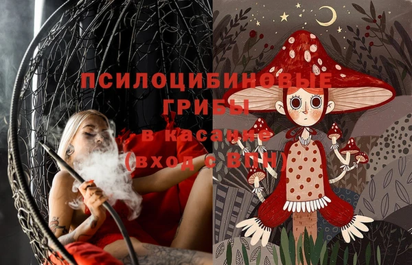 твердый Аркадак