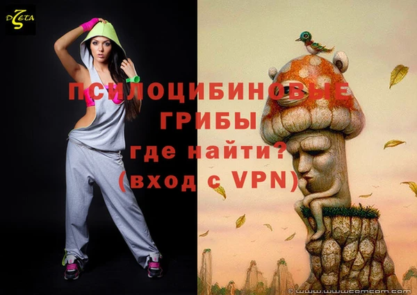 твердый Аркадак