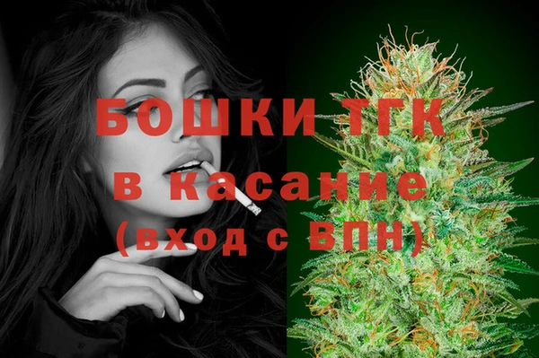 дмт Арсеньев