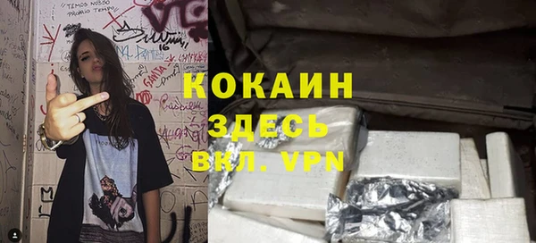 дмт Арсеньев