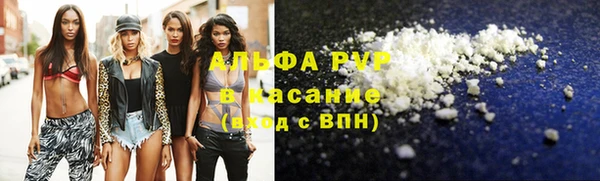 твердый Аркадак