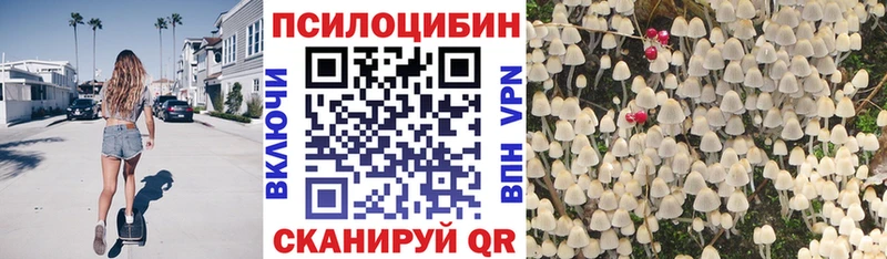 где продают   Бобров  кракен зеркало  Псилоцибиновые грибы Magic Shrooms 